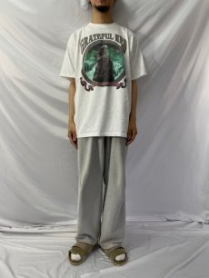 画像2: 90's GRATEFUL RED ALASKA パロディTシャツ XL (2)