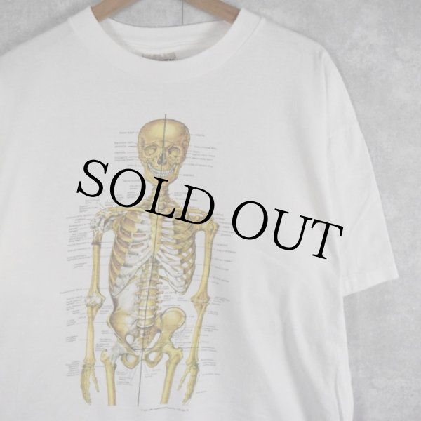 人体解剖 Tシャツ XL - トップス