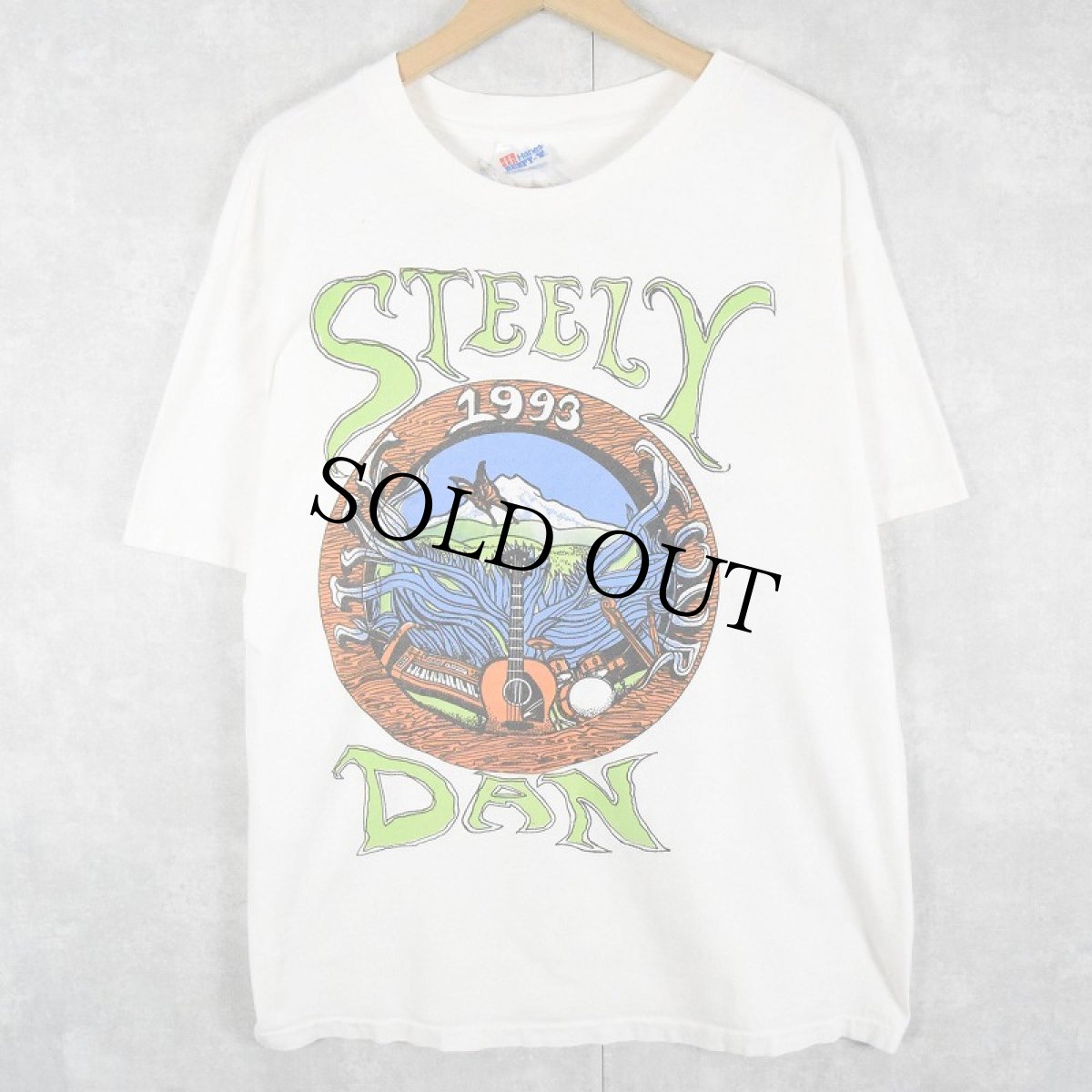 画像1: 1993 STEELY DAN ロックバンドツアーTシャツ L (1)