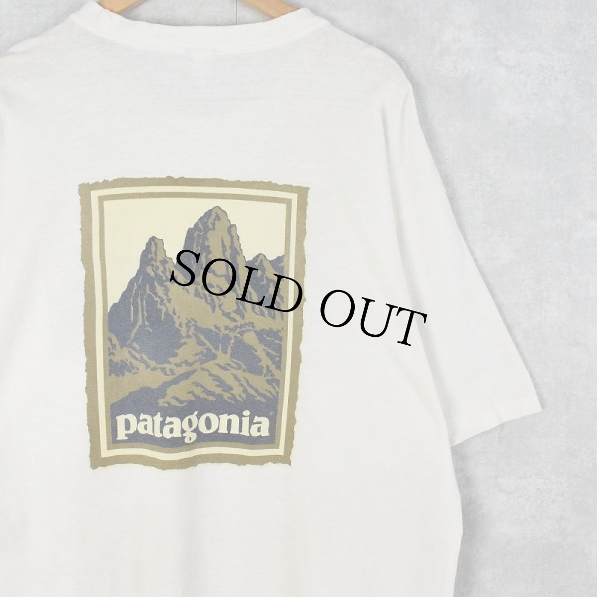 画像1: 90's Patagonia イラストプリントTシャツ XL (1)