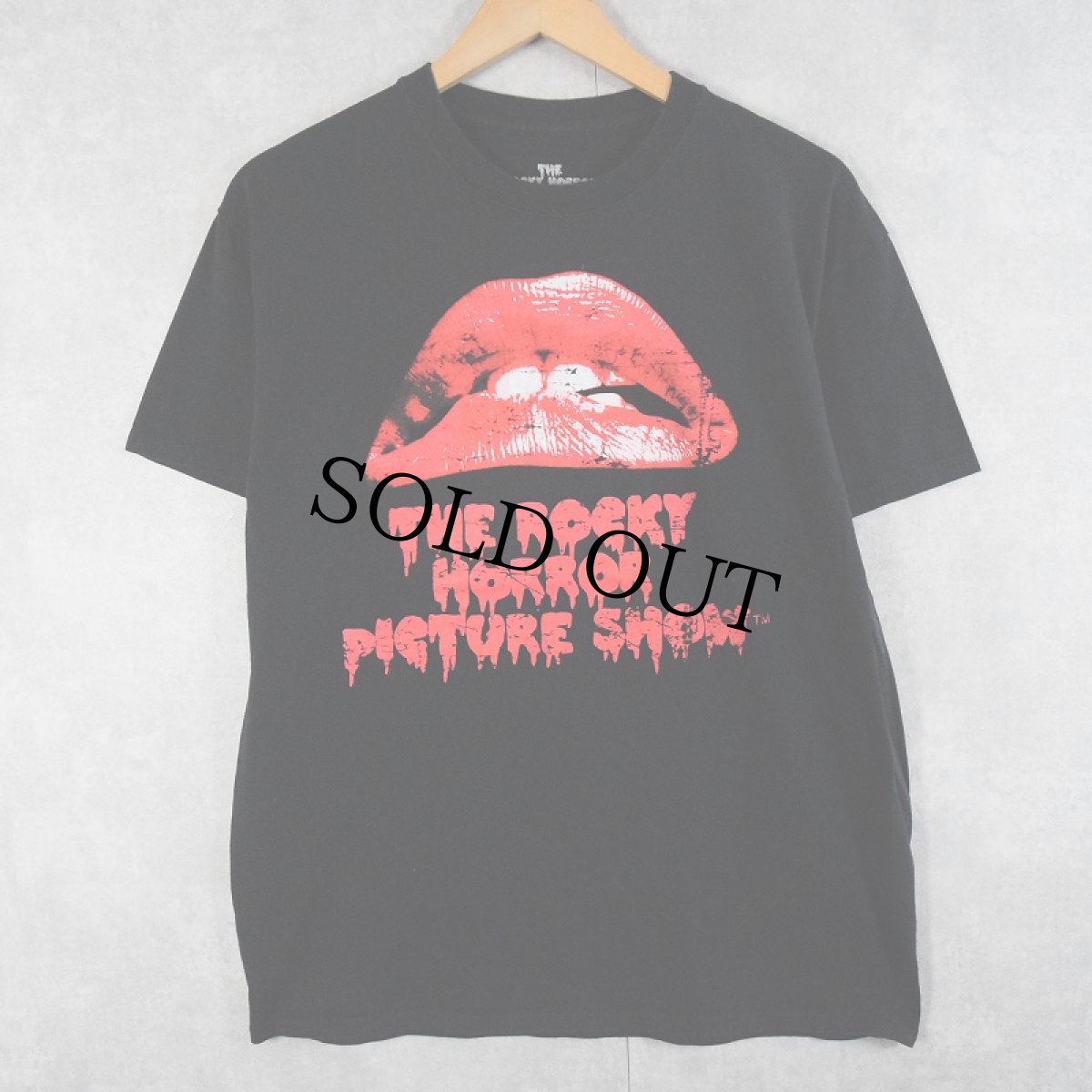 画像1: THE ROCKY HORROR PICTURE SHOW ホラー映画プリントTシャツ L (1)