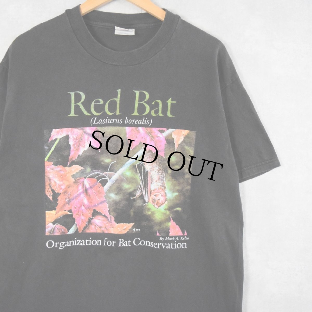 画像1: 90's "Red Bat" コウモリプリントTシャツ L (1)
