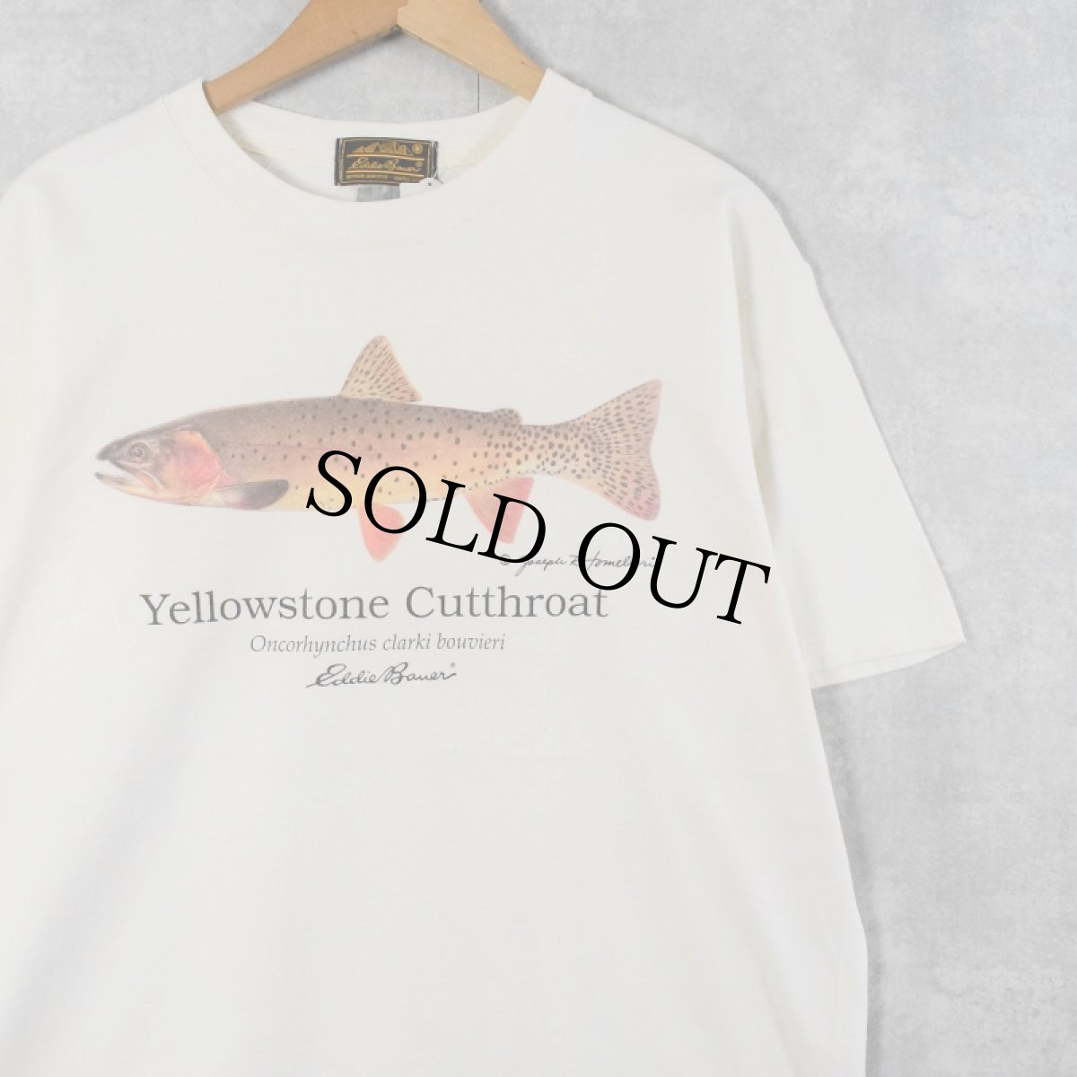 画像1: 90's〜 Eddie Bauer "Yellowstone Cutthroat" 魚イラストプリントTシャツ (1)