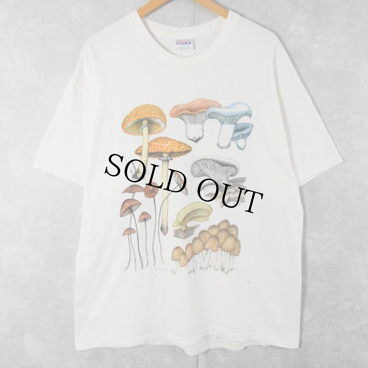 画像1: Poisonous Mushrooms アートプリントTシャツ XL (1)