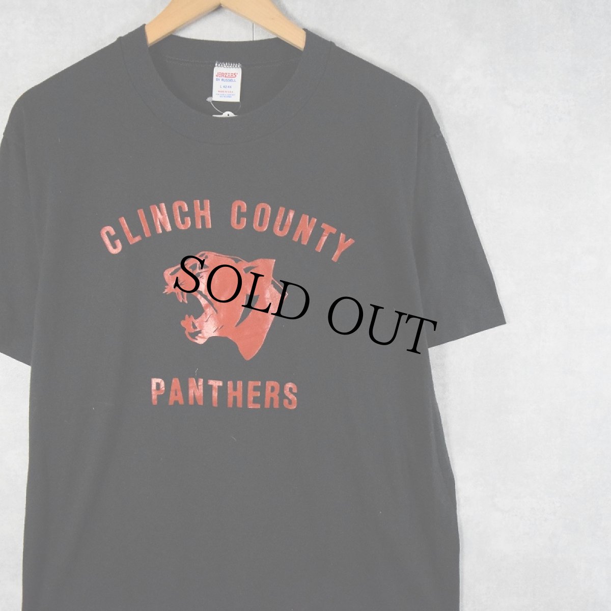 画像1: 90's JERZEES BY RUSSELL USA製 "CLINCH COUNTY PANTHERS" プリントTシャツ BLACK L (1)