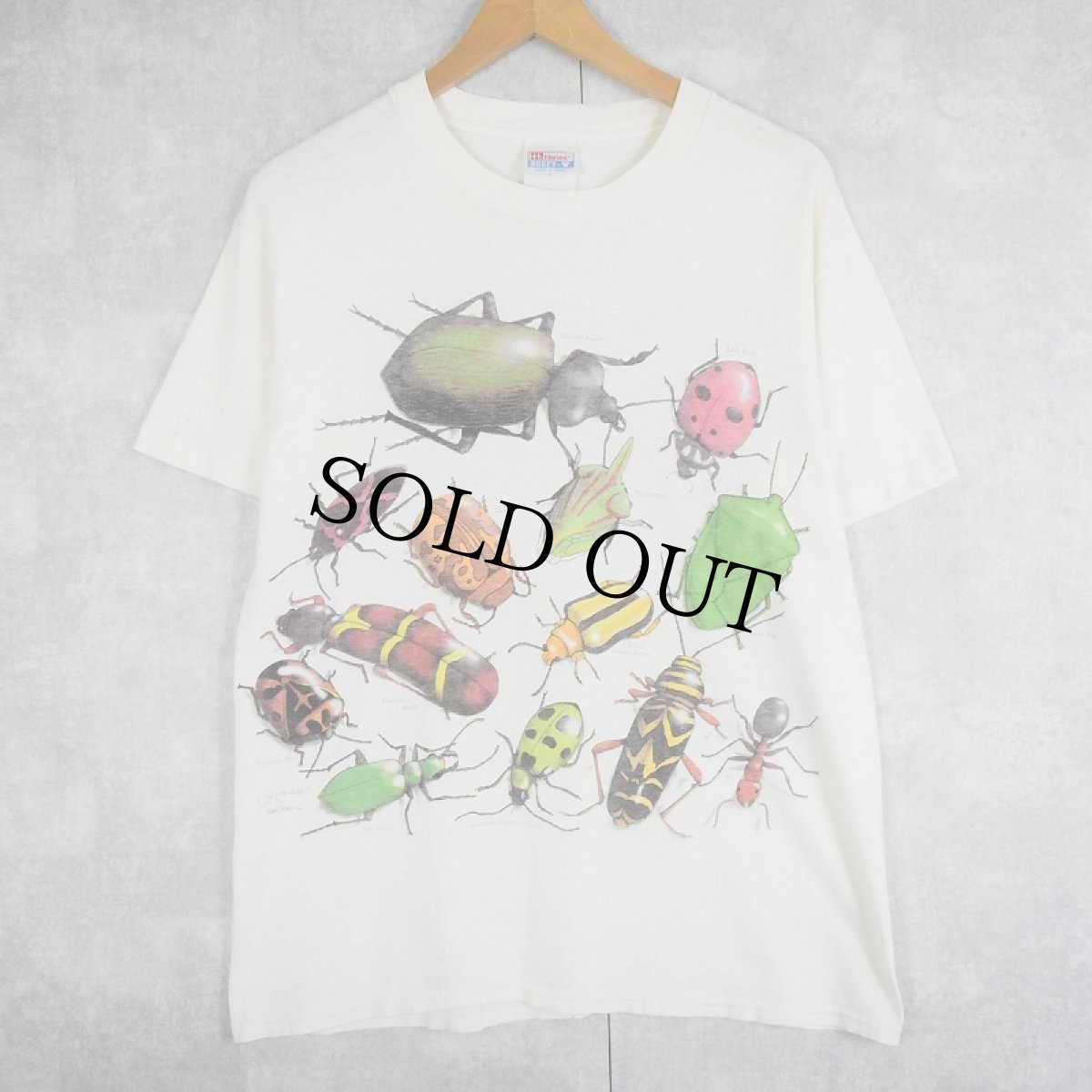 画像1: 90's Wild Cotton Jay Jausheski "Insect" 昆虫プリントTシャツ M (1)