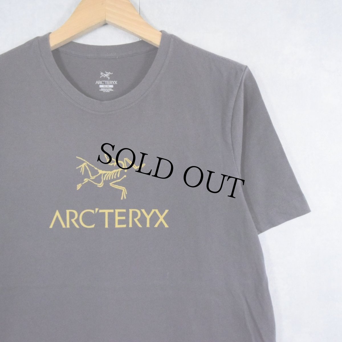 画像1: ARC'TERYX ロゴプリントTシャツ M (1)